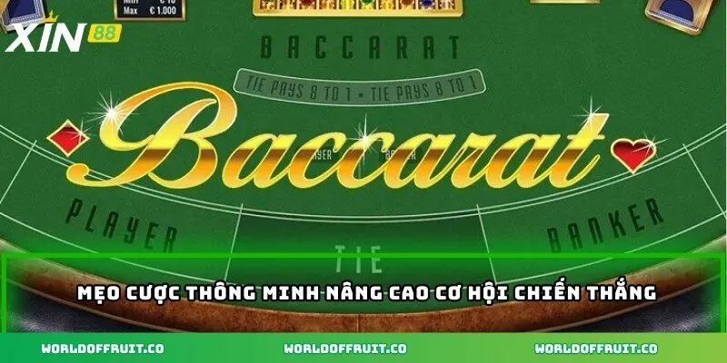 Mẹo cược thông minh nâng cao cơ hội chiến thắng